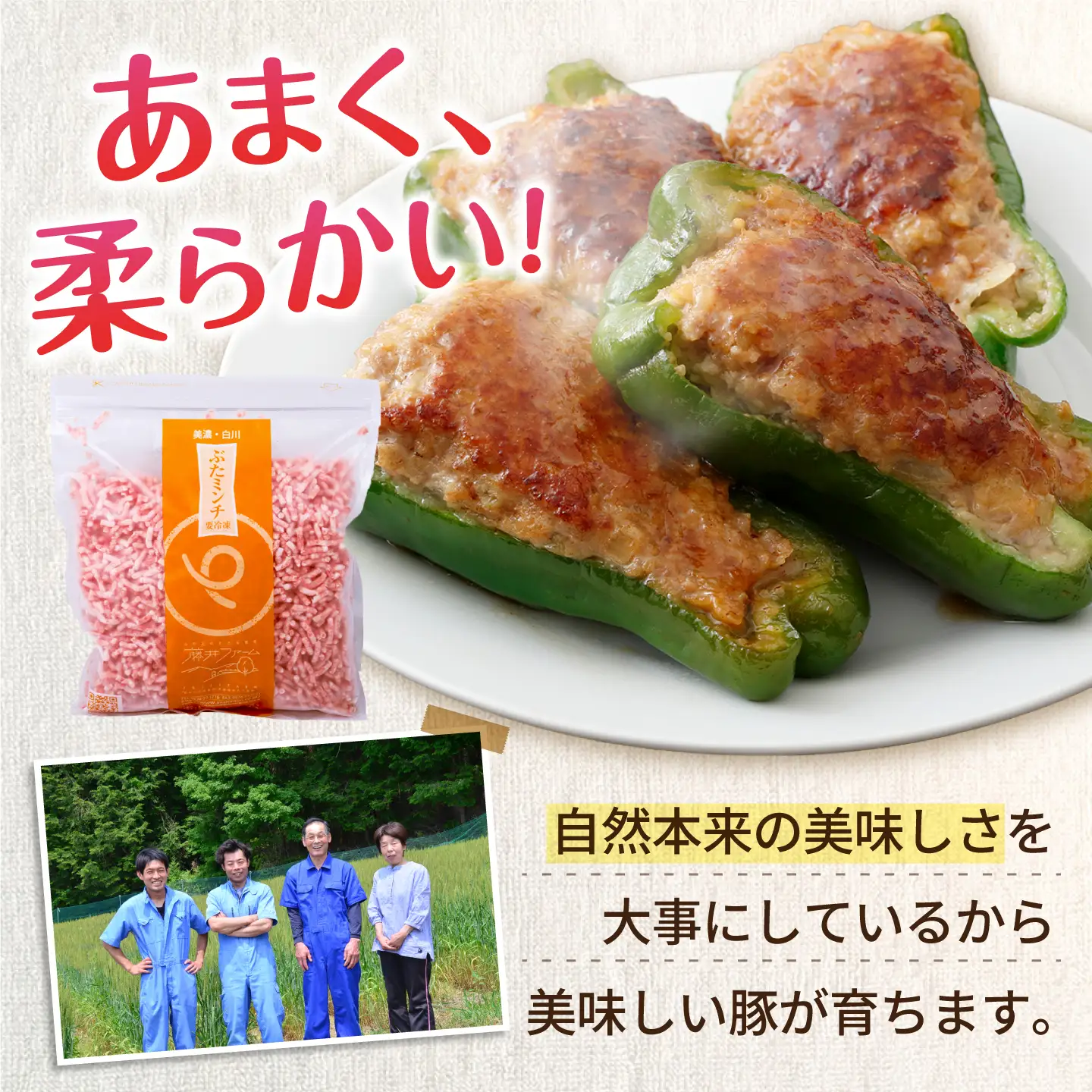 豚肉 ミンチ 計760g《バラ凍結》藤井ファーム[AWAF087]豚ミンチ