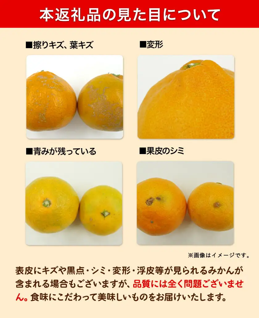 訳あり 人気柑橘食べくらべ定期便 全3回 計15kg