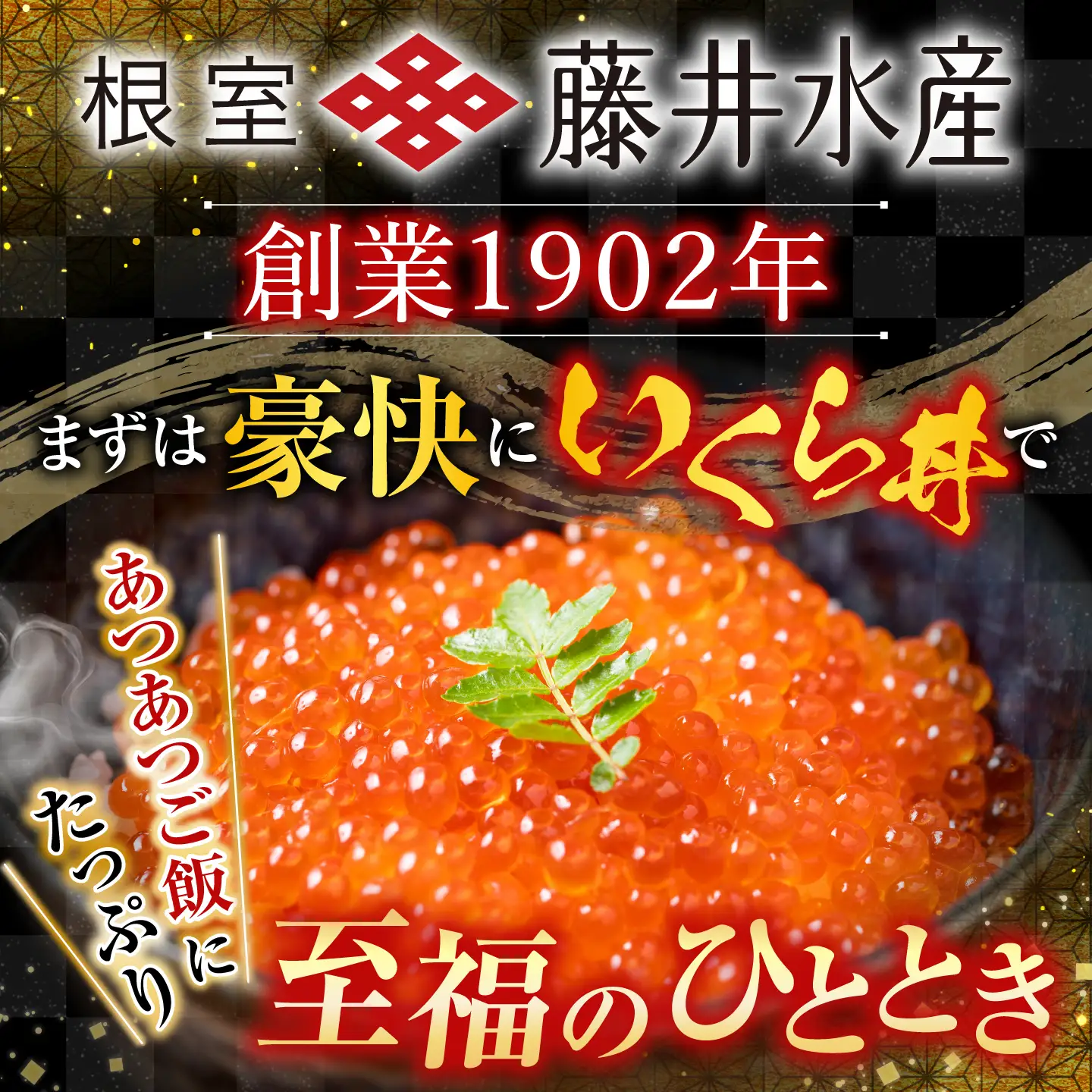 ＜鮭匠ふじい＞いくら・サーモンづくし C-42015