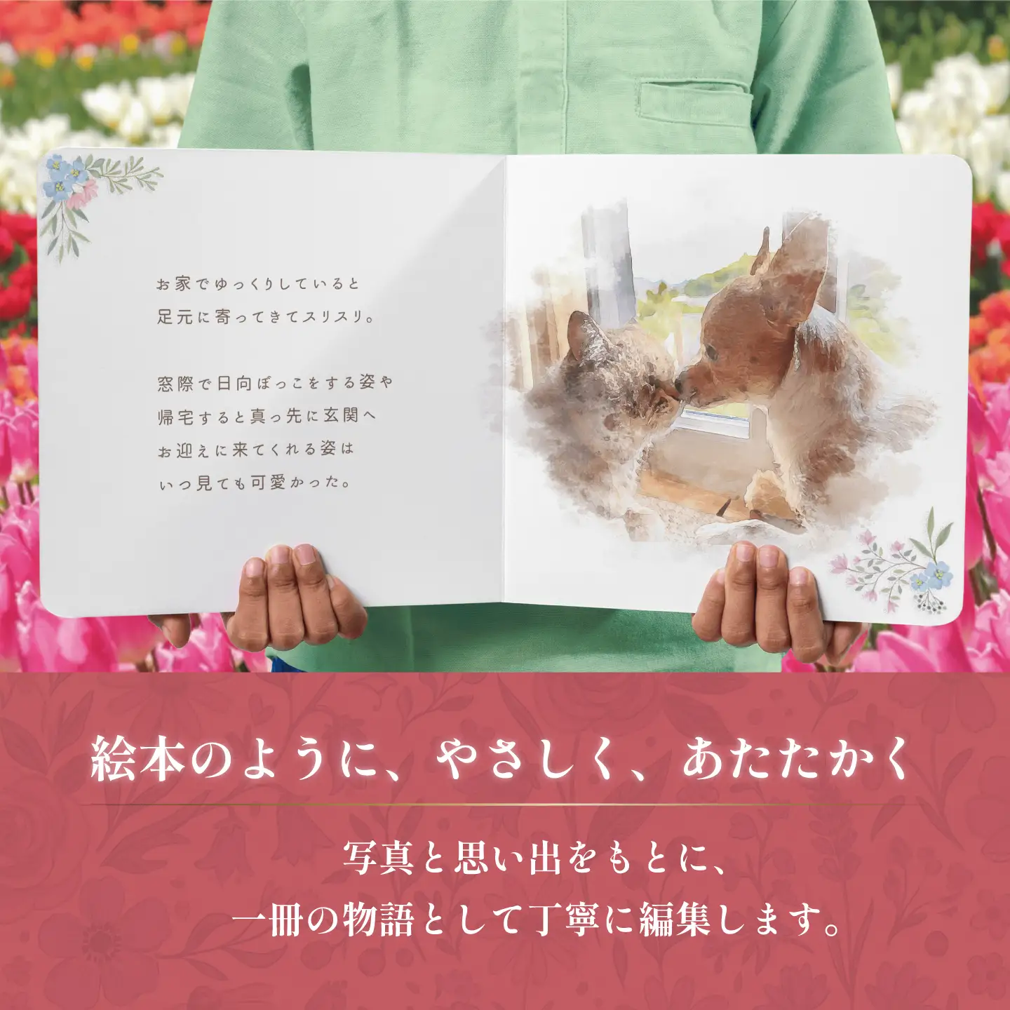 全国対応｜ペットの本（電話＆スマホ完結/1冊 ペットの絵本コース）【すぎやま本制作】[AKIB005]