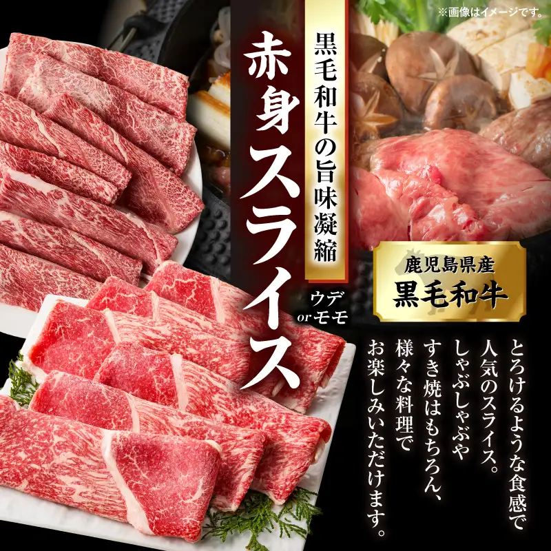 鹿児島県産黒毛和牛赤身（ウデorモモ）スライス 1kg（500g×2P） KN176-001-02 牛 肉