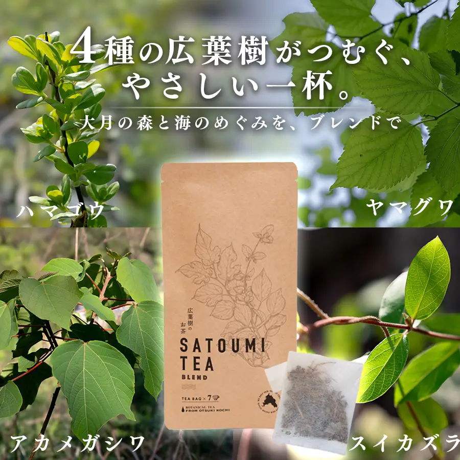広葉樹のお茶 里海茶 ブレンド 2袋 14パック入り カフェインフリー 野草茶 高知県 大月町
