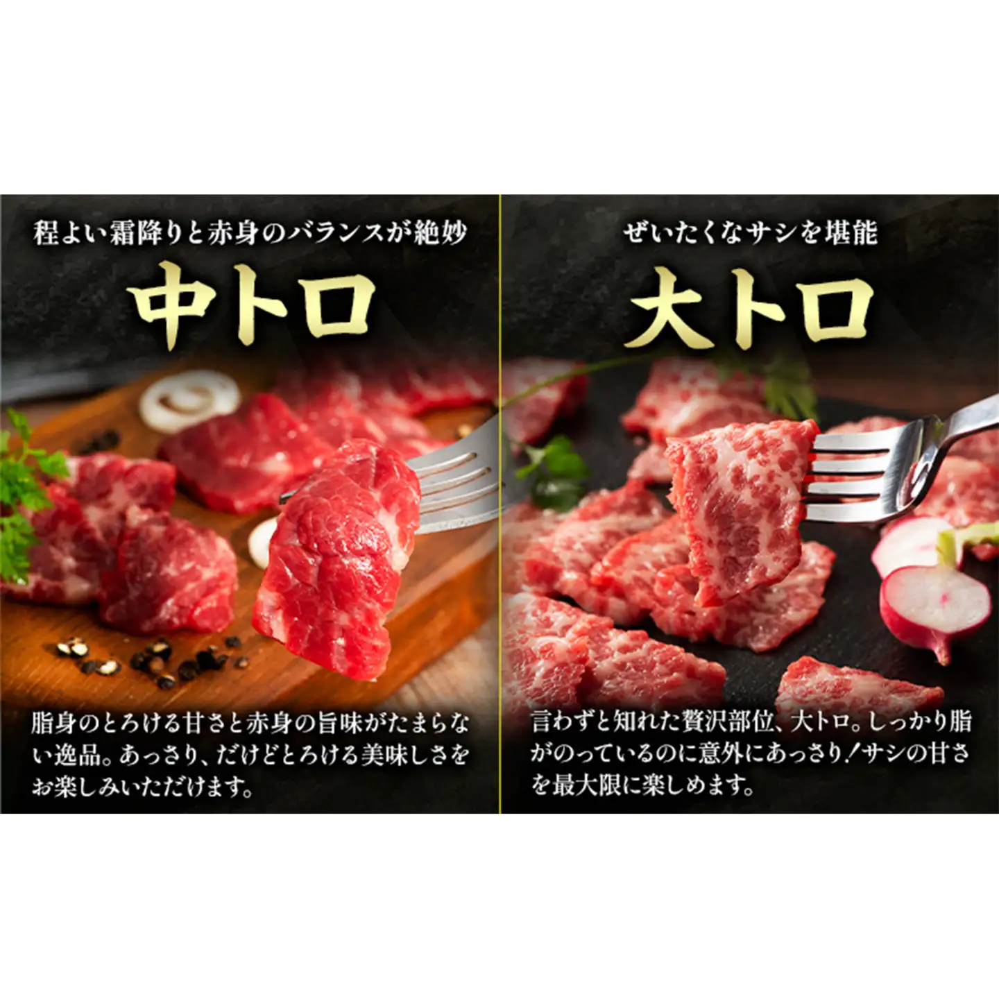 馬肉 熊本特産 フジチク 厳選 ふじ 馬刺し 6種 セット 亀井通産株式会社《30日以内に出荷予定(土日祝除く)》 熊本県 菊池市肉 馬肉 大トロ 中トロ ヒレ シャトーブリアン ランプ 上赤身 ネギトロ ふじ馬刺し セット 食べ比べ