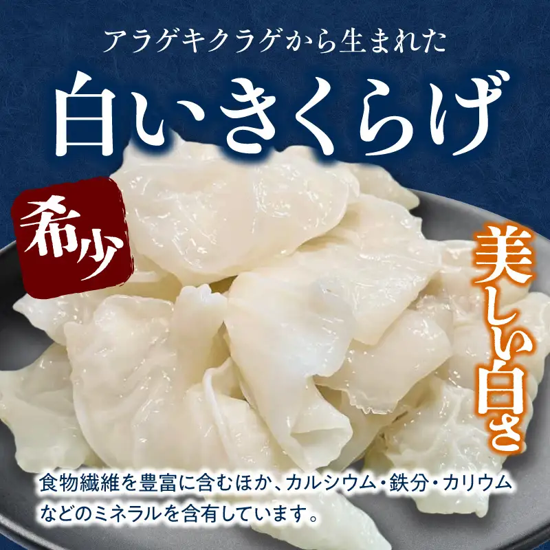 白いきくらげ「きくらげ姫」(乾燥タイプ)45g きくらげ 白いきくらげ 木耳