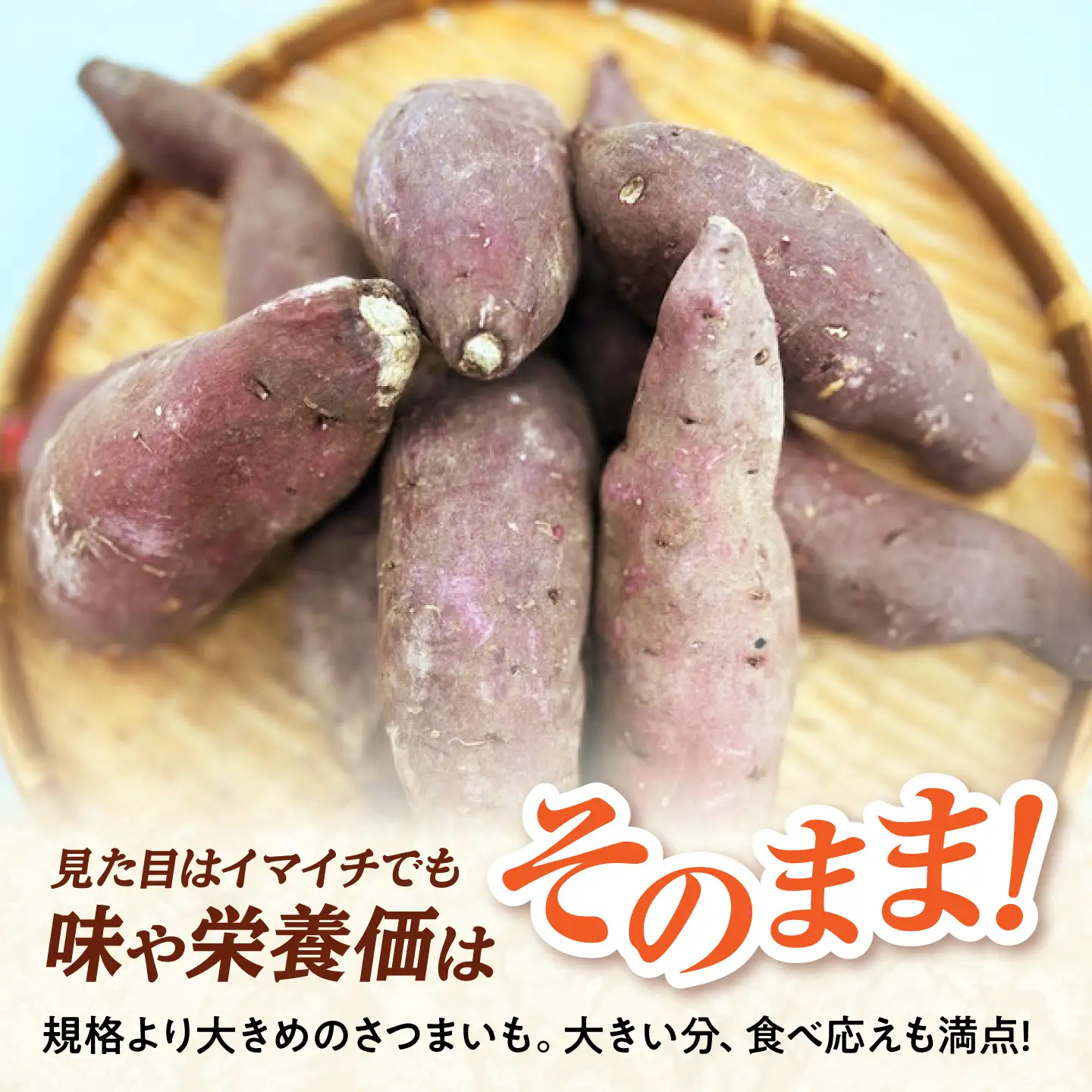 【先行予約】【2026年11月上旬順次発送】【訳あり】島根県GAP認証　さつまいも（シルクスイート）2kg　島根県松江市/フジキコーポレーション株式会社[ALDS027]