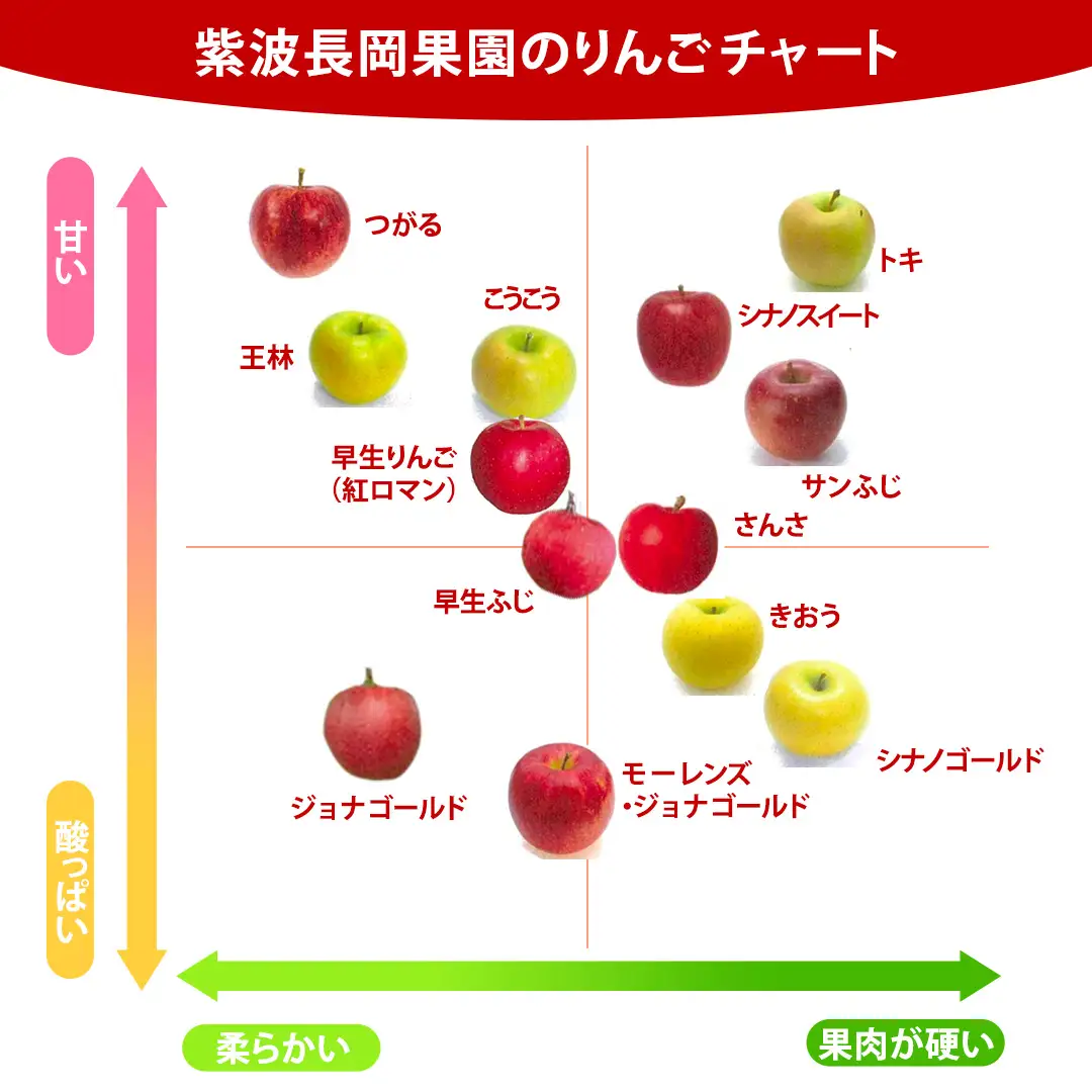 【ご家庭用】りんご 品種おまかせ 2種Mix 5kg (FH002) りんご