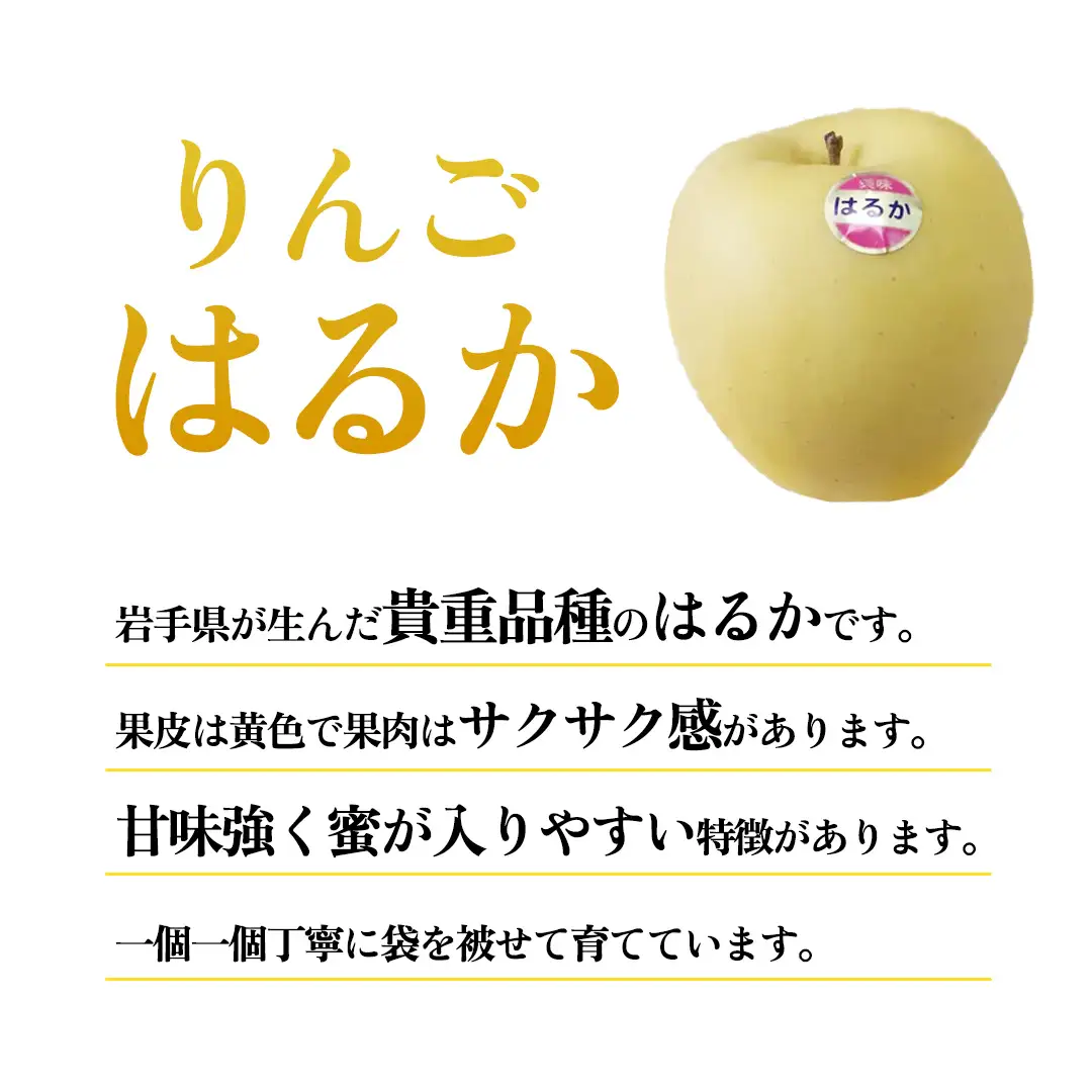 【ご家庭用】りんご はるか 約3kg (FH003) りんご