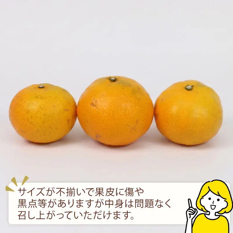 みかん 訳あり 温州みかん 10kg 平石農園 先行予約 温州 みかん 甘い 甘味 酸味 果物 くだもの フルーツ 柑橘 mikan 蜜柑 愛媛蜜柑 愛媛みかん わけあり サイズ 不揃い 産地直送 数量限定 国産 愛媛 宇和島 B010-017009