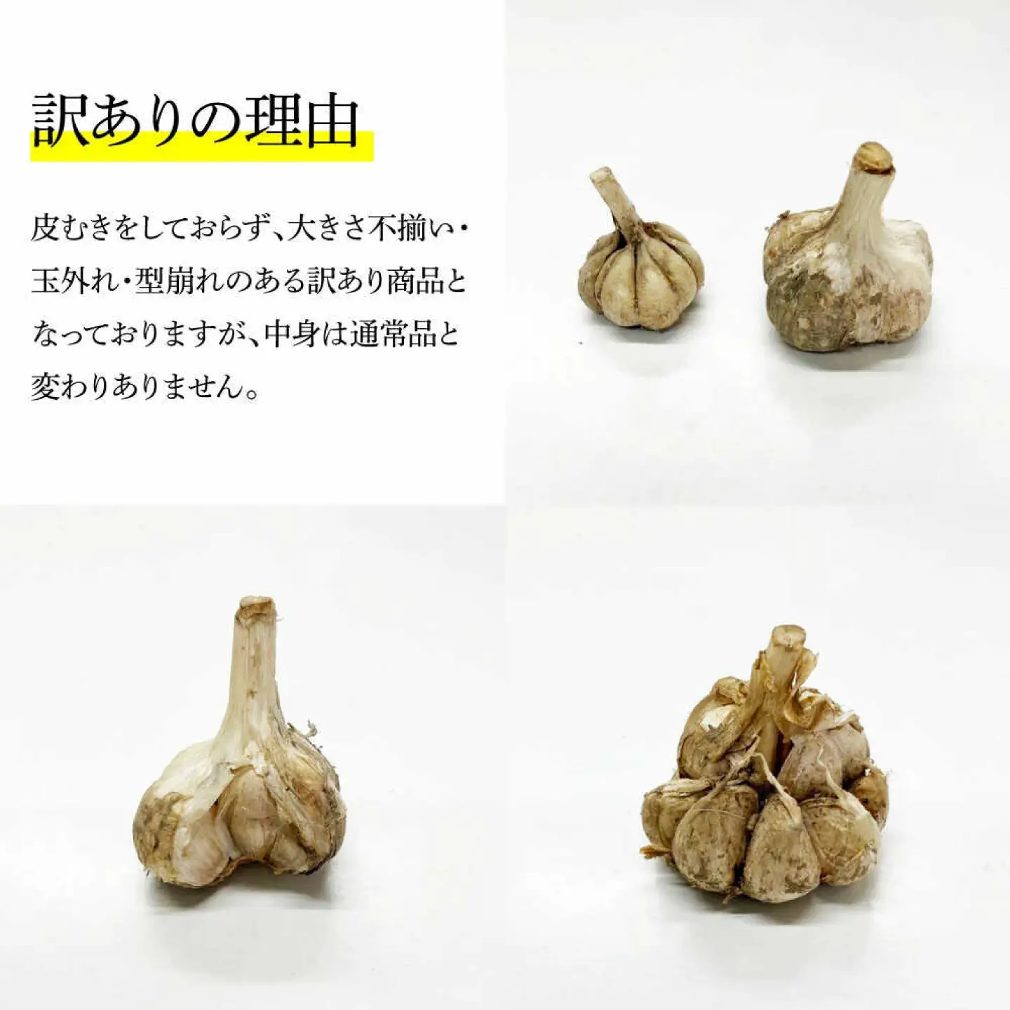 【訳あり】 平戸にんにく 約2kg 乾燥 ニンニク 平戸にんにく 訳アリ わけアリ 不揃い 型崩れ 自然乾燥 大量 大容量 常温 配送 数量限定 高知県産 高知県 土佐市【株式会社　植田ファーム】[BQAT007]