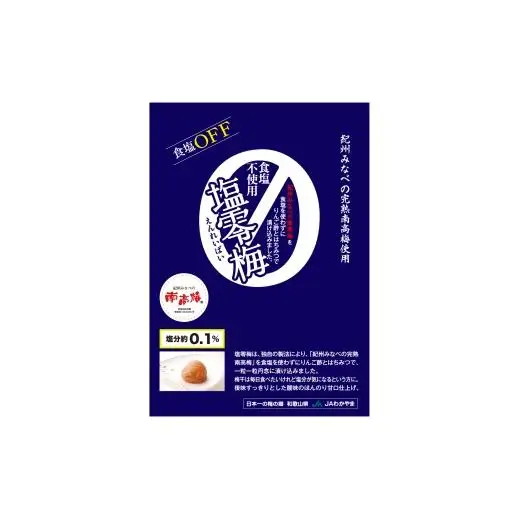 N073　塩零梅