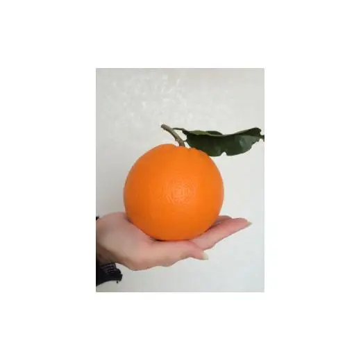 N035　樹上熟成ネーブル　２．５ｋｇ