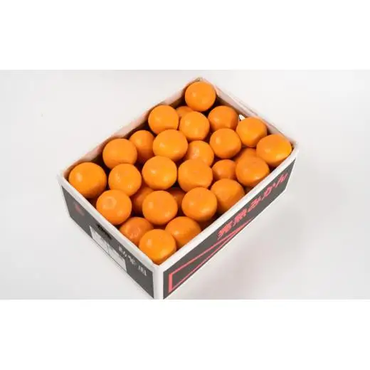 N422　超熟屋根掛けみかん　黒特選　５ｋｇ×２箱