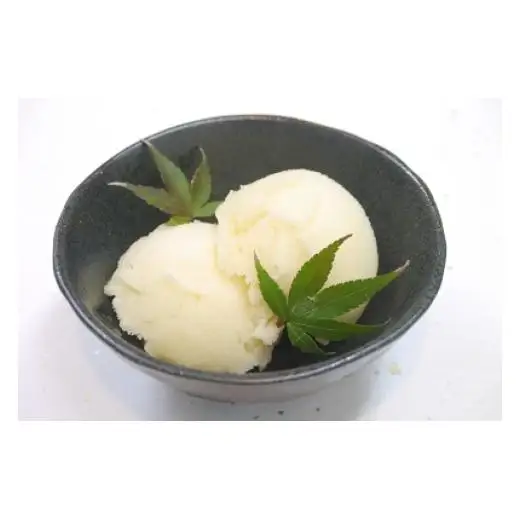 N109　和歌山の南高梅（ミニカップ１０個セット）