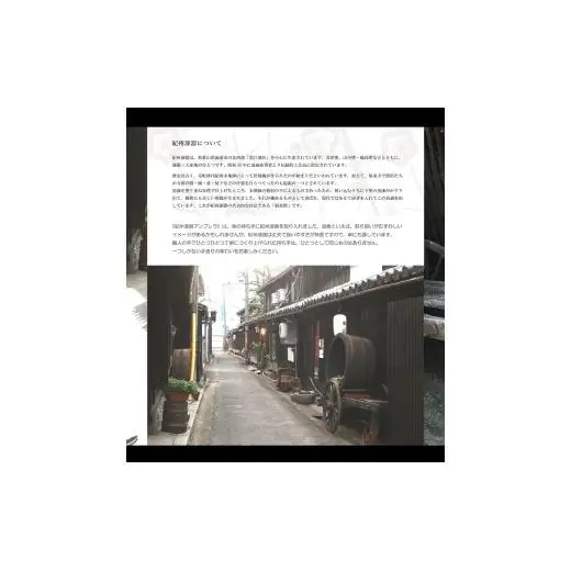 N162　紀州漆器アンブレラ『根来』１６本骨和傘　カバー付　ギフト箱入
