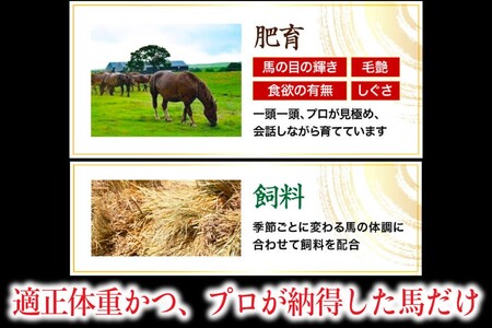 〈令和8年10月出荷〉肥後の桜馬刺し 上赤身 300g