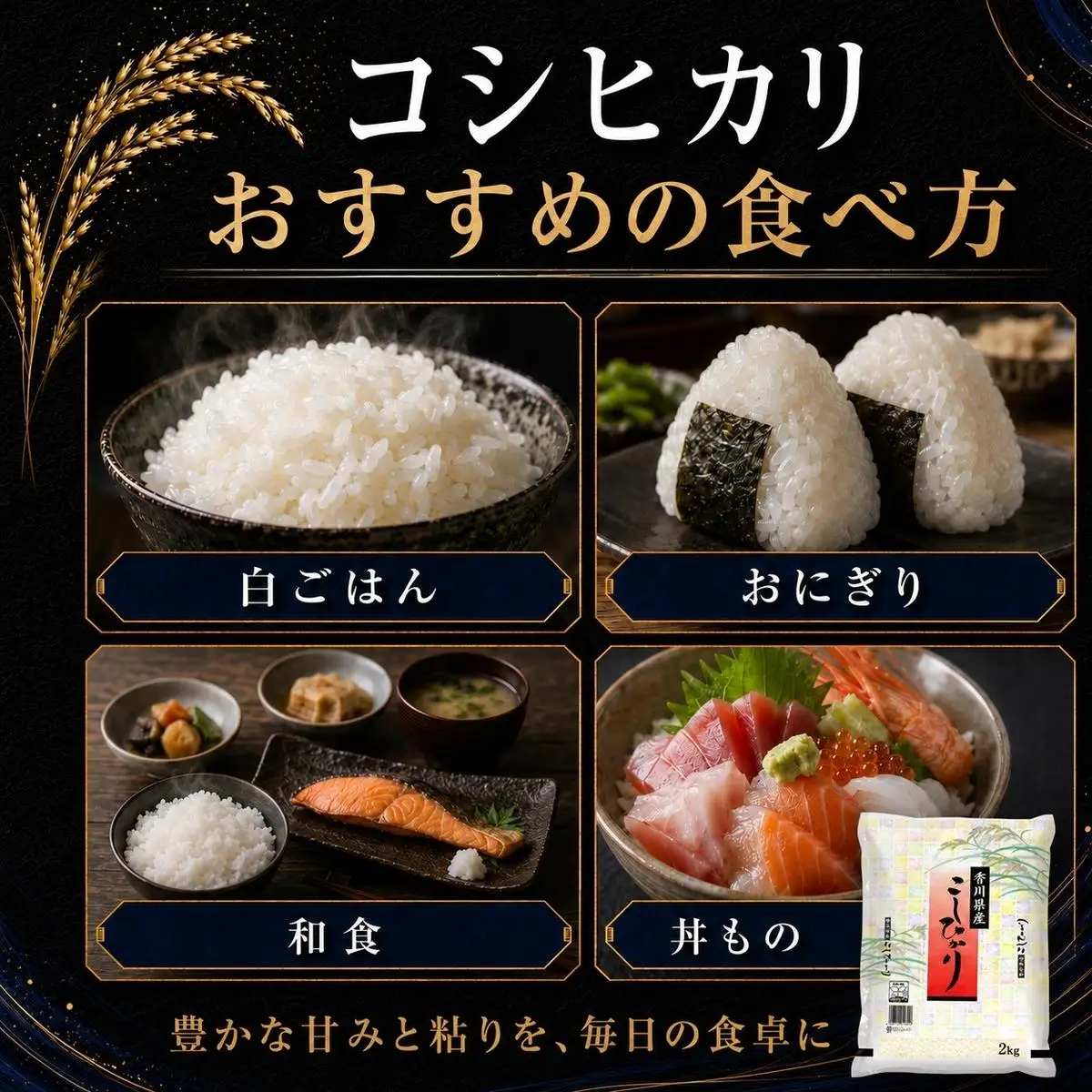 コシヒカリ 米 精米 白米 香川県産 コシヒカリ【2kg】