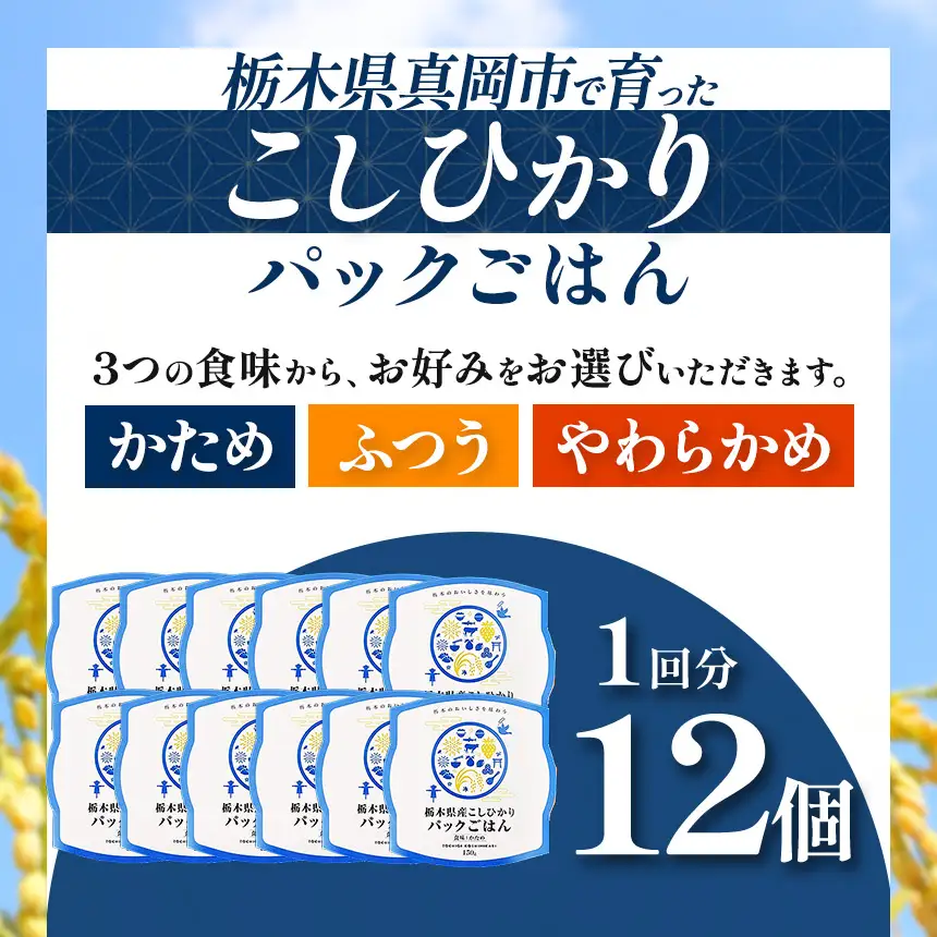 【定期便12回】栃木県産こしひかり パックごはん(ふつう)　1パック(150g)×12個