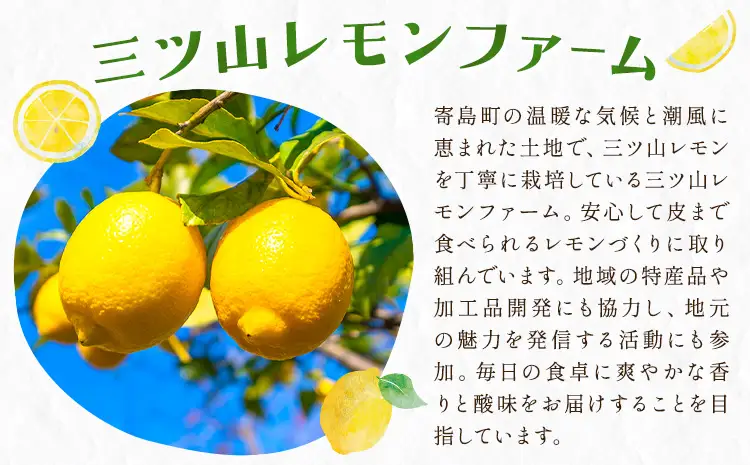 グリーン レモン 訳あり 1kg 三ツ山レモンファーム 檸檬