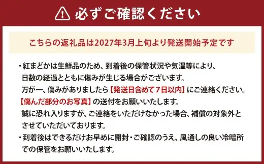 熊本県産 紅まどか １玉 （ 約700g前後 ） 果物 くだもの フルーツ 柑橘系 柑橘類 みかん ミカン 果汁 国産 果肉 文旦 希少 【 2027年3月上旬発送開始 】