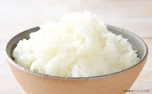 【 令和7年産 】 岡山県産 きぬむすめ 10kg （ 5kg × 2袋 ） お米 米 こめ 白米 白飯 飯 ご飯 おにぎり ブランド米 ブランド 国産 コメ