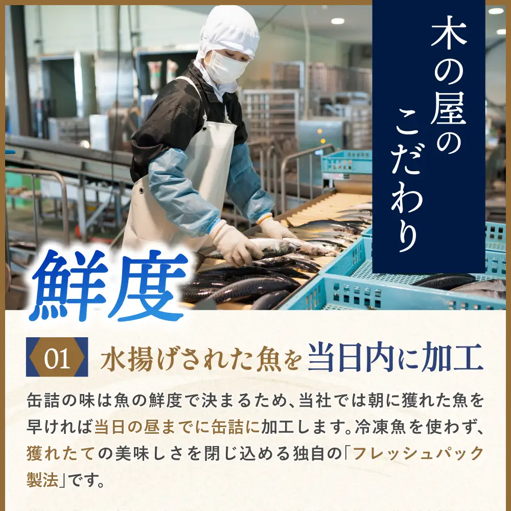 美里町直売所厳選くじら6缶セット【kany009】
