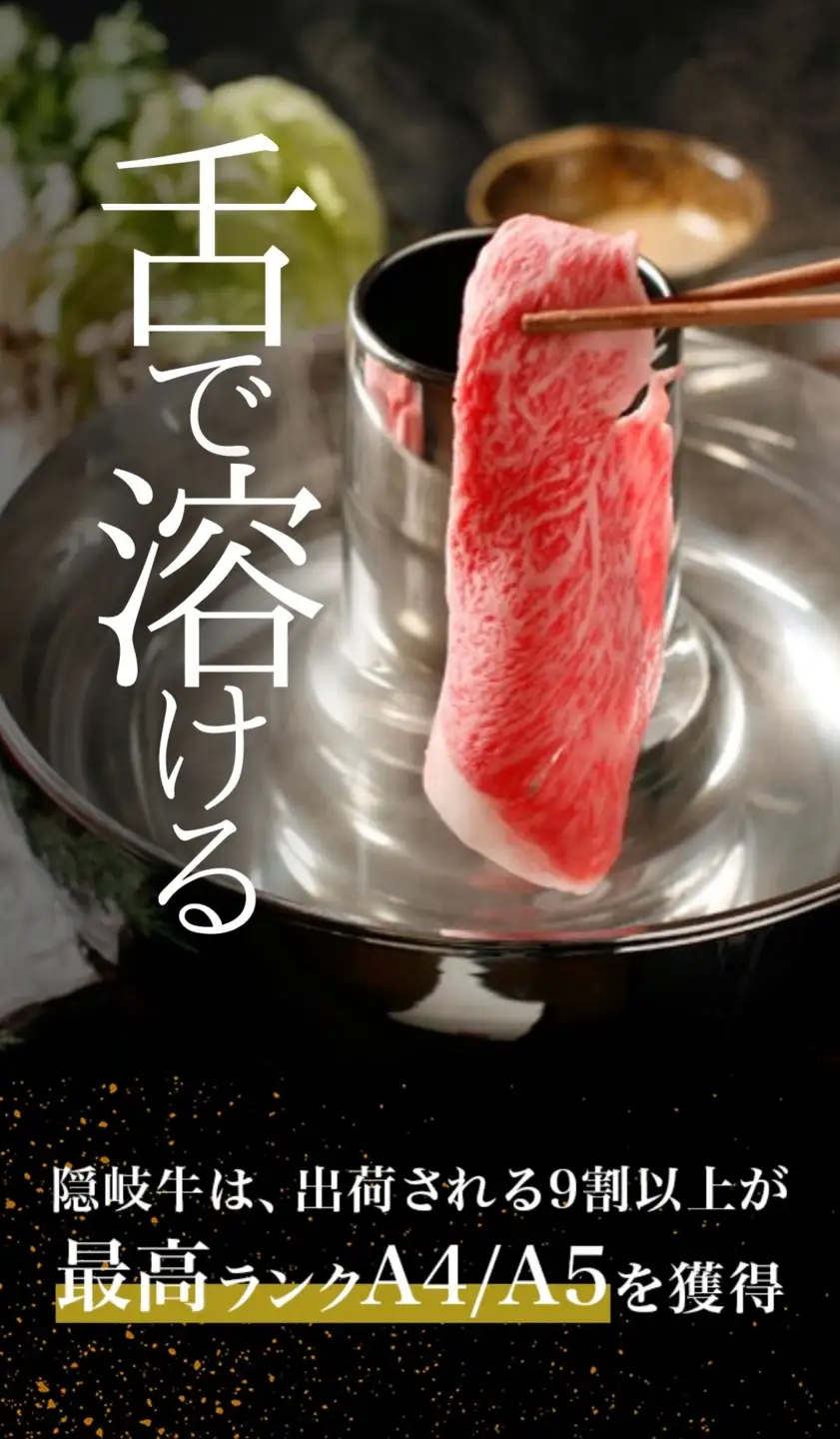 隠岐牛 和牛 切り落とし 400g A5 和牛 牛肉