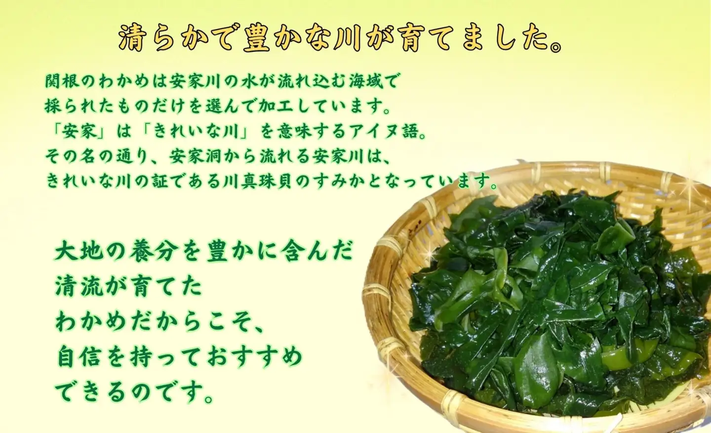 湯通し塩蔵わかめ100g×6袋 北三陸産 肉厚 ワカメ 小分け