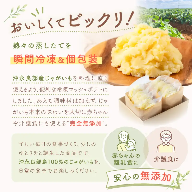 沖永良部産 じゃがいも 100％！ていねいに仕上げた 無添加 マッシュポテト 90g×10個 W071-001-01 離乳食 介護食