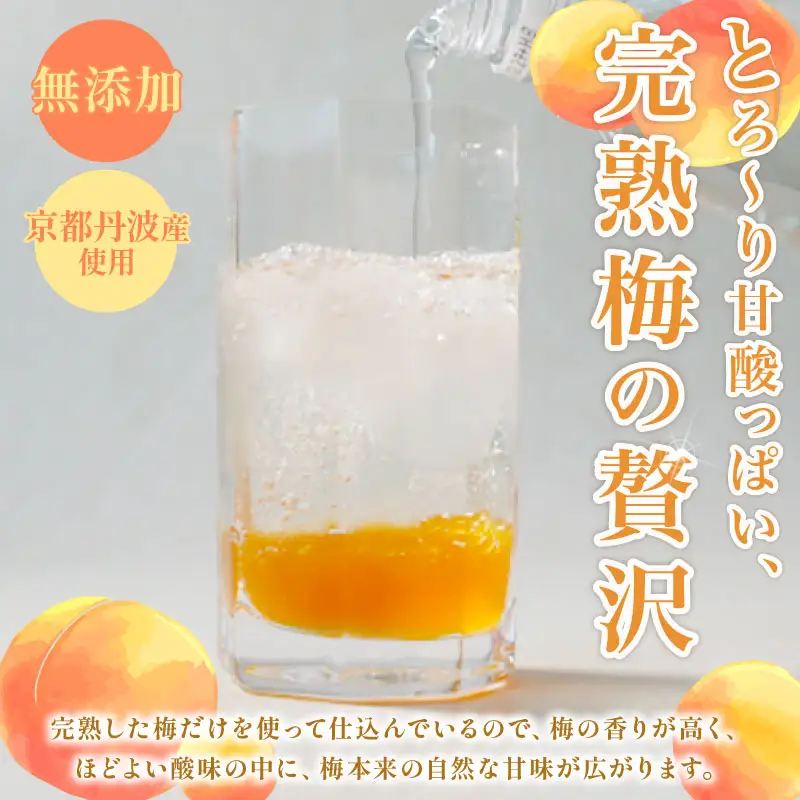 梅ピューレUMEUME YUZUUME 2本セット 315ml 南高梅 フルーツ