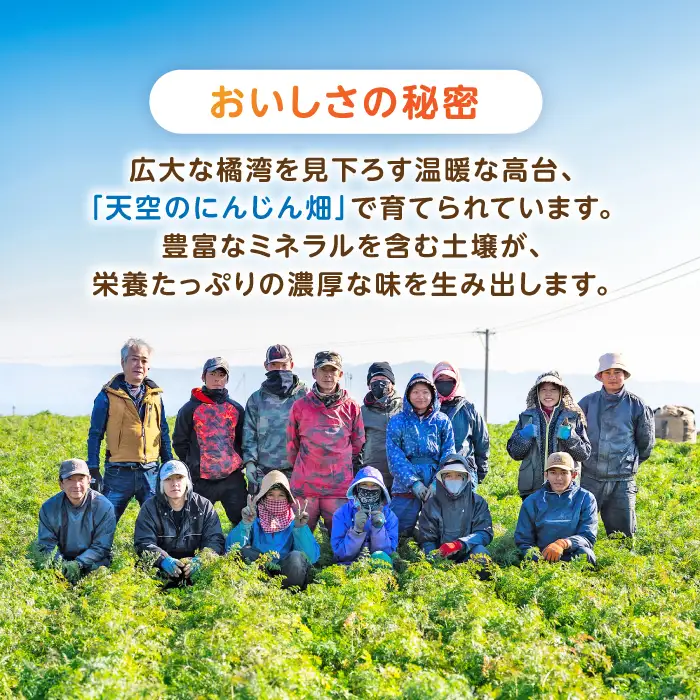 ※【2026年11月下旬より順次発送／先行予約】滝さんの人参 5kg / にんじん ニンジン 人参 carrot やさい 野菜 にんじんジュース 人参ジュース ニンジンジュース キャロット キャロットジュース / 諫早市 / 滝商店株式会社[AHCU007]