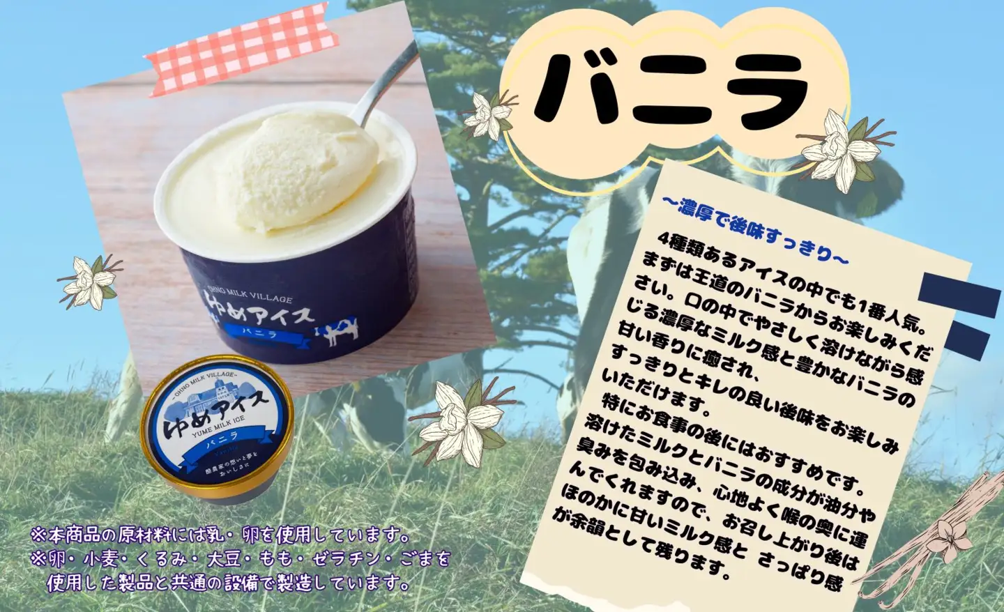 おおのミルク村 ゆめアイス6個セット（バニラ・クリームチーズ・塩バニラ・ラフランス）