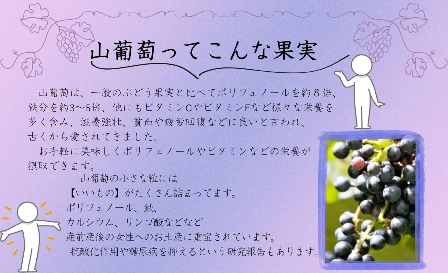 洋野やまぶどう原液720ml