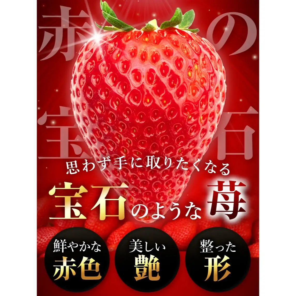 栃木県産 完熟とちあいか ギフトボックス 《大粒極上》 贈答用 ボックス（12粒）　栃木県 矢板市
