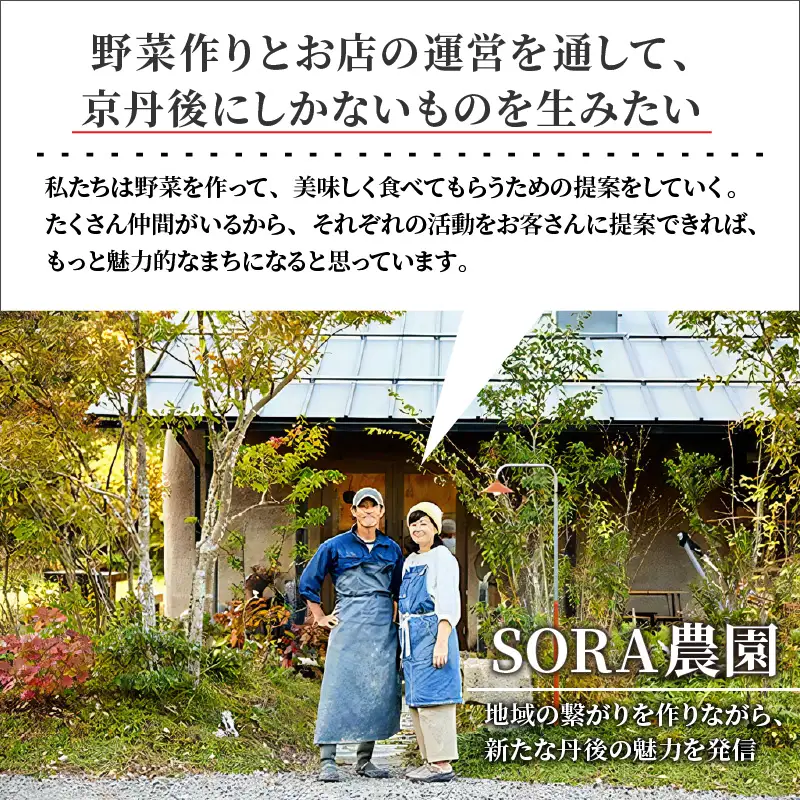 【6月上旬～順次発送】SORA農園の有機ビーツ3kg　有機野菜 有機農園 オーガニックファーム オーガニック野菜 有機栽培 ビーツ