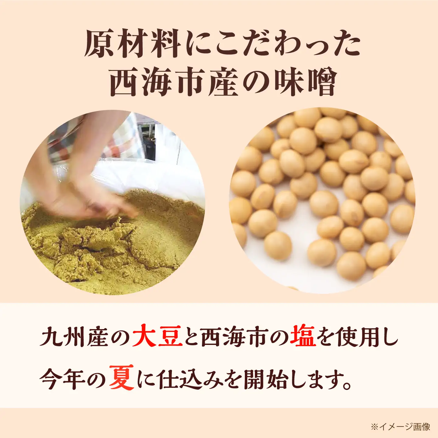 麦麹みそ 700g×2袋 [CBX003] 味噌