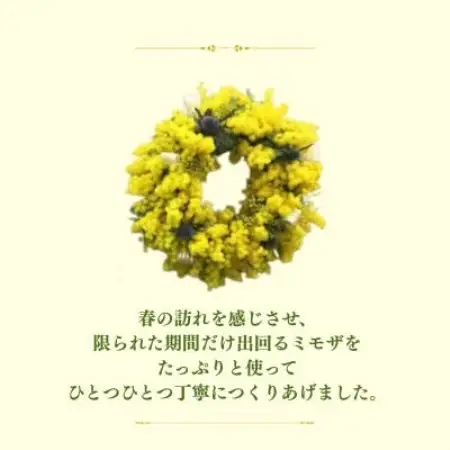 【2027年3月より順次発送予定】日出町から春をお届け♪ふわふわのミモザをたっぷり使ったリース【配送不可地域：離島】【1742524】
