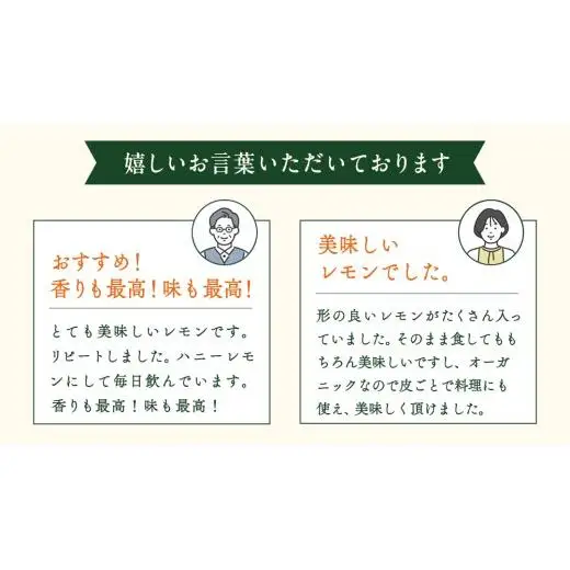 【 先行予約 】 瀬戸内 オーガニック グリーンレモン 9kg (80～90個程度) 【2026年10月以降発送】