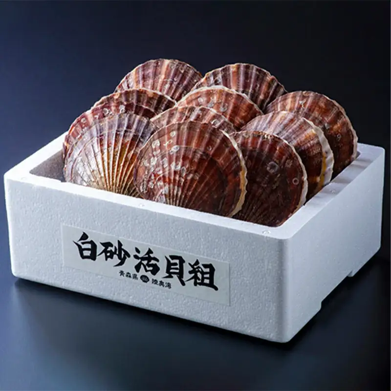 ≪希少≫ ひらない活貝組 漁師直送 活ホタテ 約4kg 【琉宝丸】 F21J-190