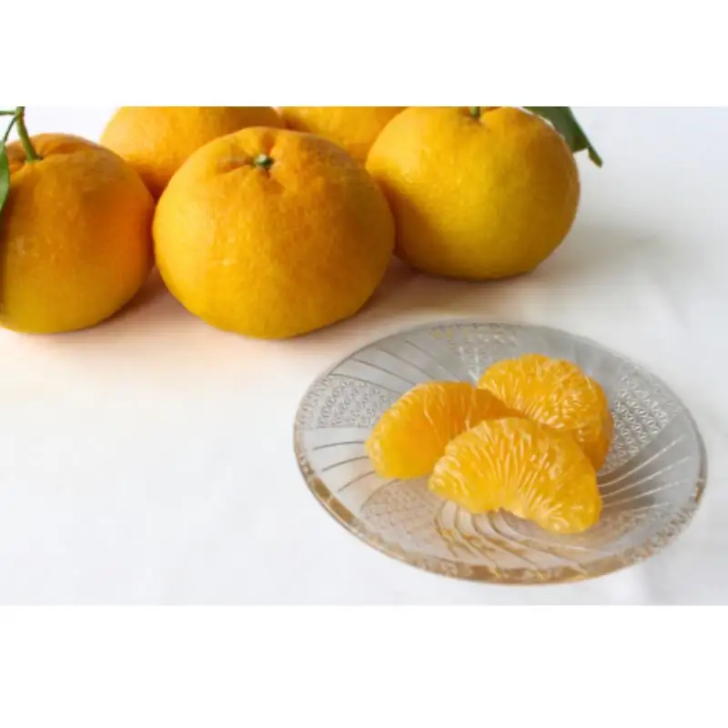 甘夏 【秀品】4kg 人気【期間限定・数量限定・先行予約】柑橘 産地直送 贈答品 ギフト 果物 フルーツ 田辺市 和歌山県 甘夏 【ymh027】