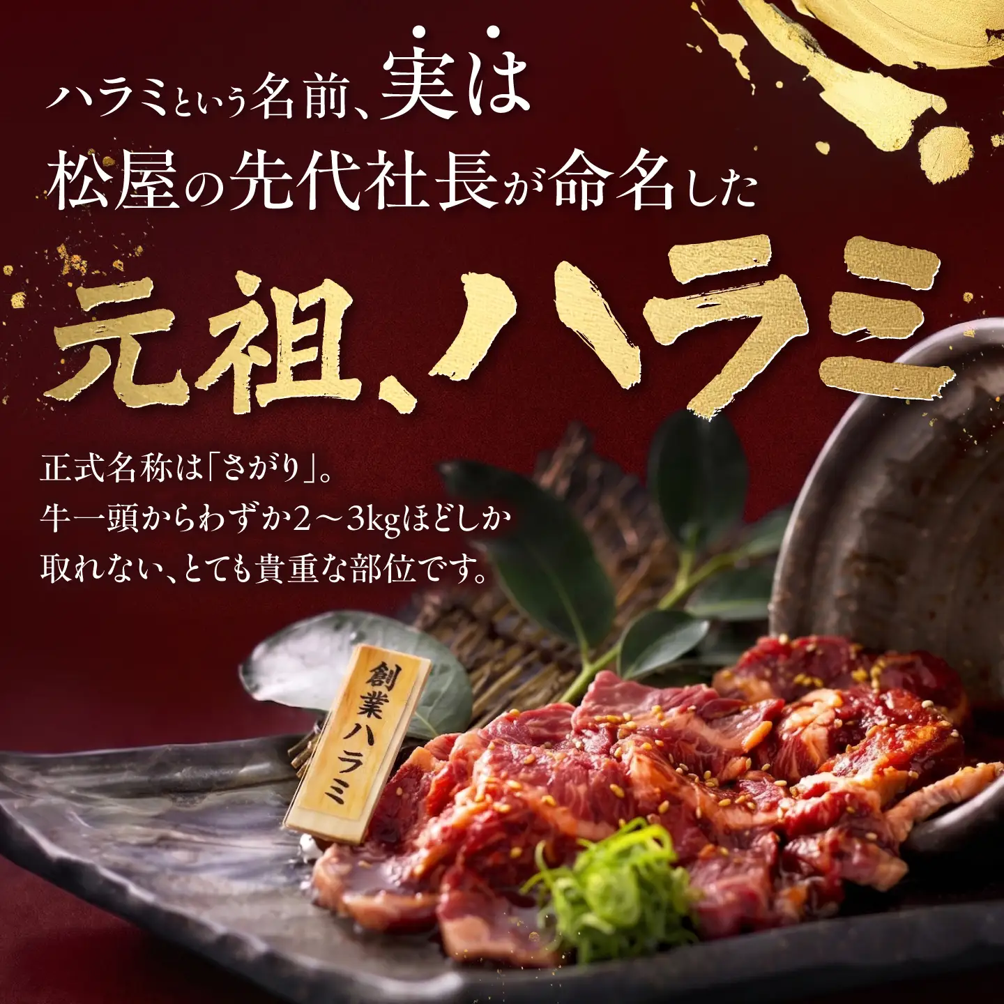 【全12回定期便】厳選焼肉 ハラミ 1kg / 肉 牛肉 牛 焼肉 焼き肉 やきにく BBQ バーベキュー キャンプ アウトドア 国産 冷凍 小分け ハラミ 1kg 味付き タレ 簡単調理 ギフト / 大阪府藤井寺市 / 株式会社 松屋[BLCD007]