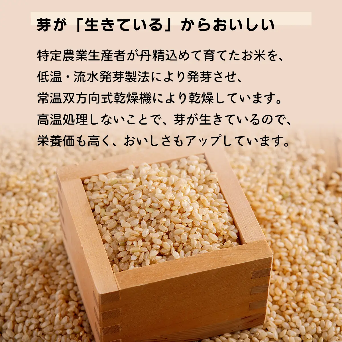 北海道米の発芽玄米「ななつぼし・ゆめぴりか」食べ比べセット（500g×2種×5セット)計5kg MKWAH011