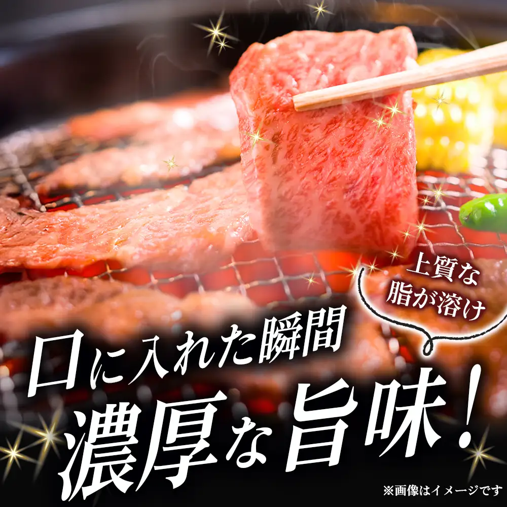 【新鮮チルド発送!!】A5等級宮崎牛特選ロース焼肉 900g（黒毛和牛 牛肉 宮崎牛 ロース 霜降り 赤身 焼肉用 宮崎県）
