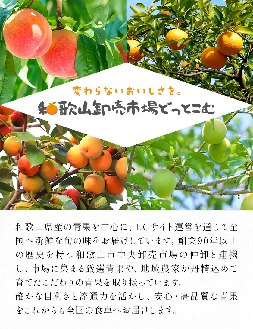 たねなし柿 秀品 6kg 農業福祉研究機構《9月上旬-11月上旬頃出荷》
