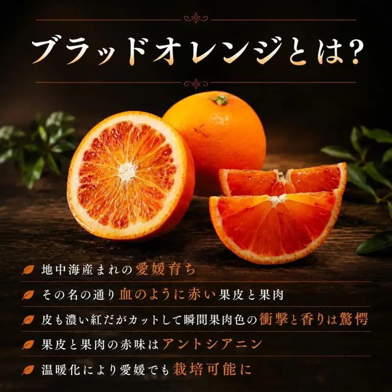 【2027年3月中旬頃から順次発送】  ブラッドオレンジ 1kg ｜愛媛 タロッコ 果物 ビタミン 健康 フルーツ 柑橘 農家直送 産地直送 数量限定  松山  くだもの 果実 有名 みかん 愛媛県産 瀬戸内 デザート スイーツ おすすめ 国産 青果 酸味 果汁 果肉 蜜柑 ミカン あかい 松山市産みかん 甘い 美味しい お取り寄せ グルメ ギフト 期間 ご当地 愛媛県 松山市 【HMN023】