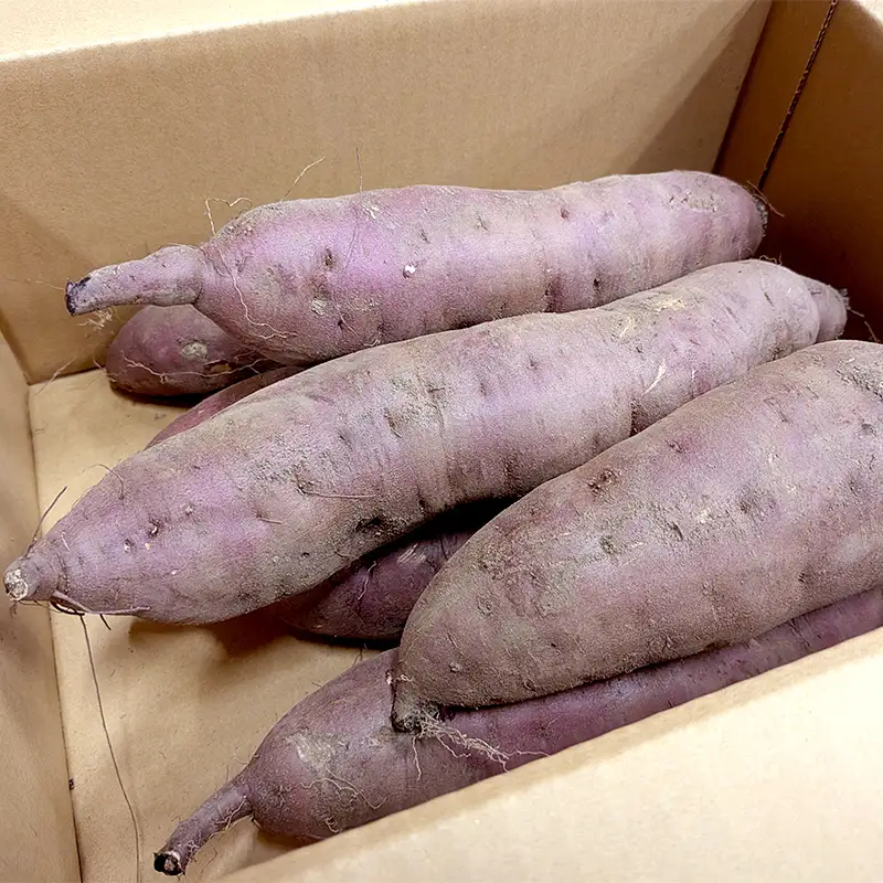 【先行予約】＼豪華4種！食べ比べ／ さつまいも 8kg セット（各2kg）（2026年10月以降順次発送）北海道産 品種おまかせ 紅はるか シルクスイート すずほっくり クイックスイート 安納芋 ゆきこまち 姫あずま ふくむらさき mr1-1414