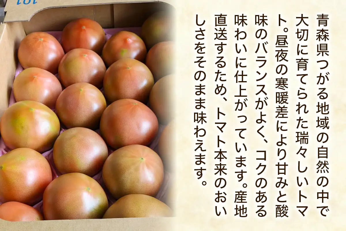 つがるの新鮮トマト 約2kg(10個から12個) [1003]