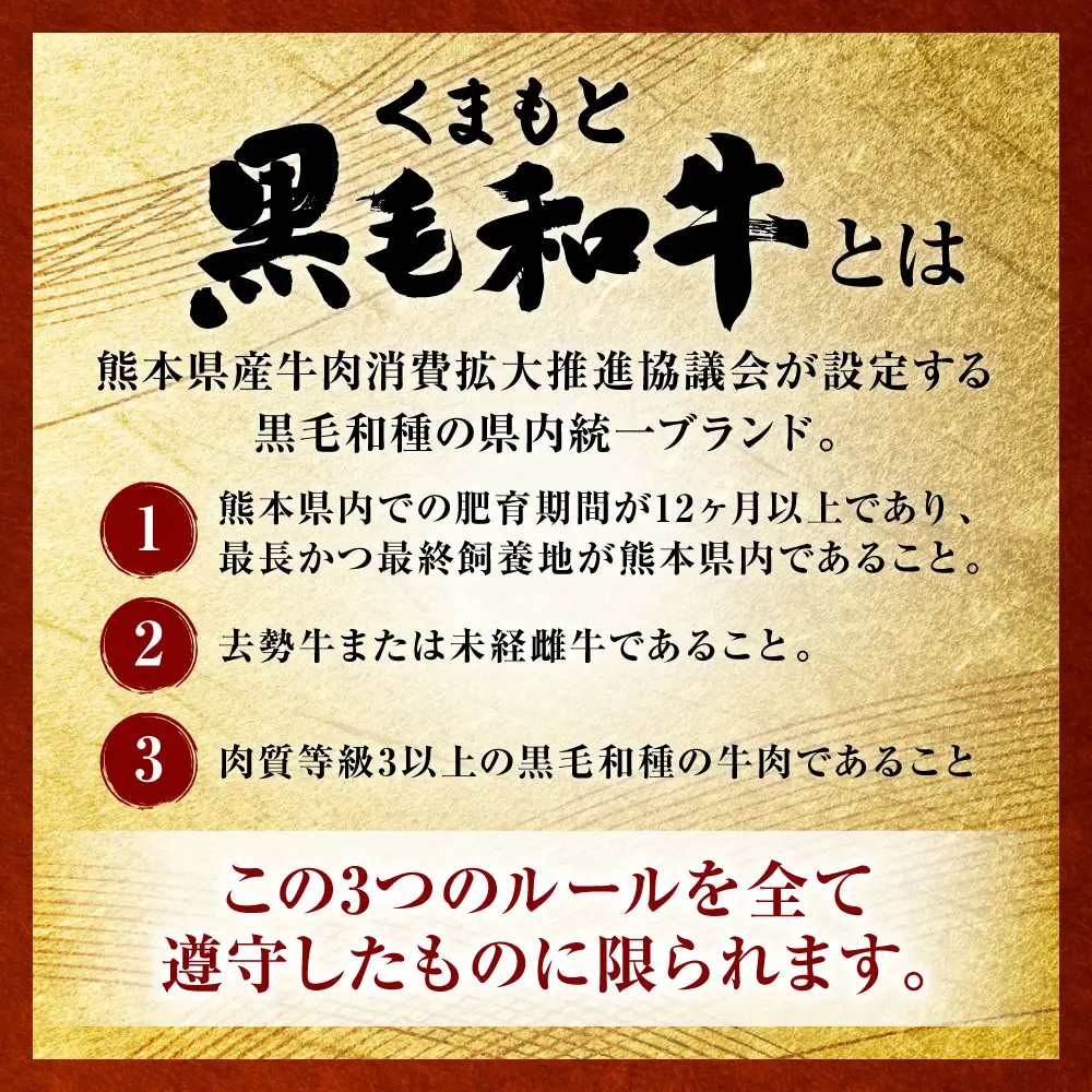 牛肉 【訳あり】くまもと黒毛和牛 切り落とし 合計500g (250g×2パック) 牛肉 肉
