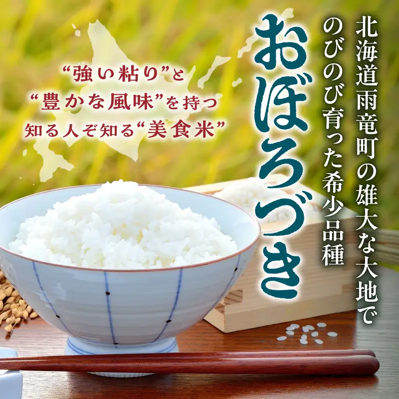 【定期便2回】令和7年産 おぼろづき 10kg（5kg×2袋）雨竜産 北海道
