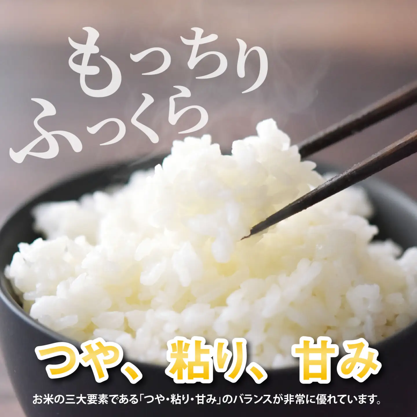 令和8年産 福井県産コシヒカリ【無洗米 5kg×2袋】 [B-014023] 白米