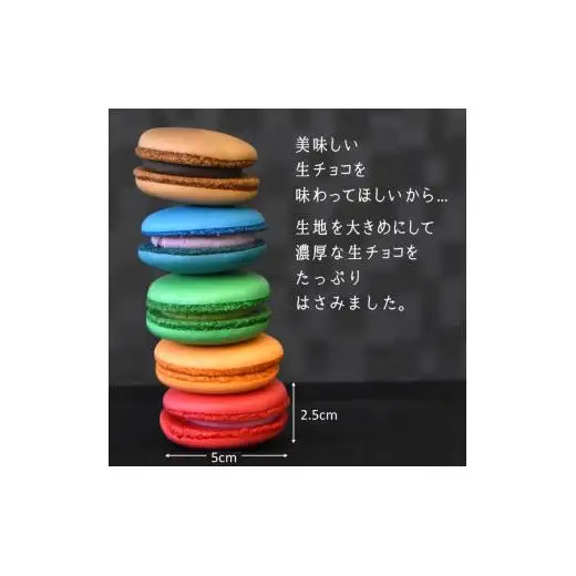 大きな生チョコマカロン 生マカロン 5個入 生チョコ 焼き菓子 マカロン